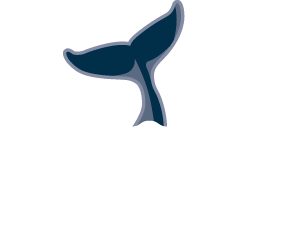 Whale Tail Digital